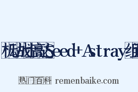 机动战士高达Seed+Astray组词是什么意思的图片